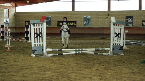 Equitazione, oltre 100 giovani da tutta l'Umbria a Montefalco per la finale del Circuito multidisciplinare - Sport | WP TTV