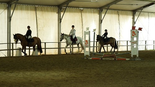 Equitazione, oltre 100 giovani da tutta l'Umbria a Montefalco per la finale del Circuito multidisciplinare - Sport | WP TTV