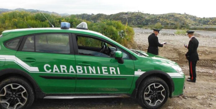 carabinieri-forestale-evidenza-web