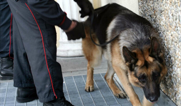 carabinieri_cane