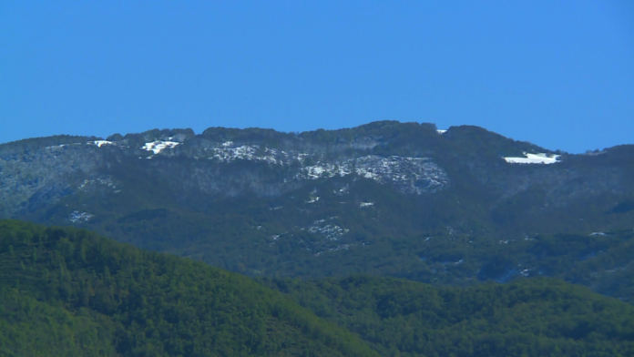 muto-neve-di-primavera