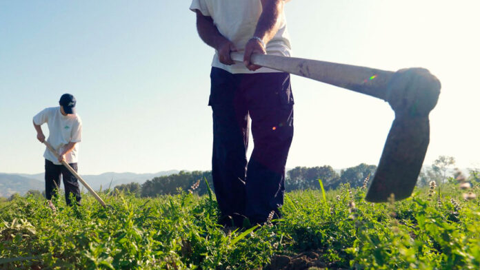 agricoltura bio aboca