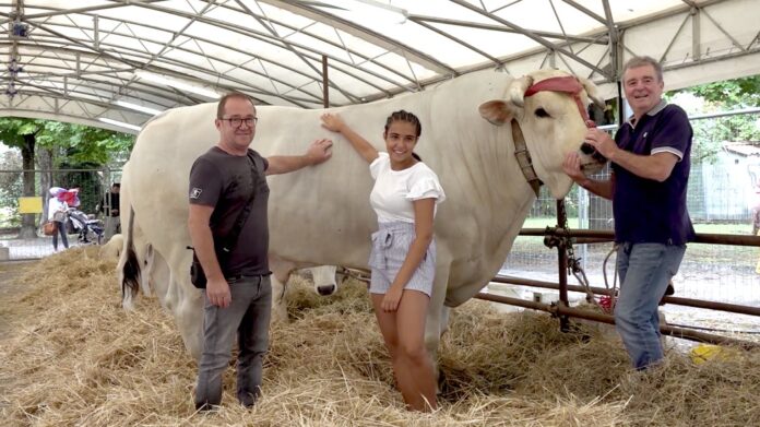 Agricoltura, zootecnia e commercio: ecco le Fiere di San Bartolomeo