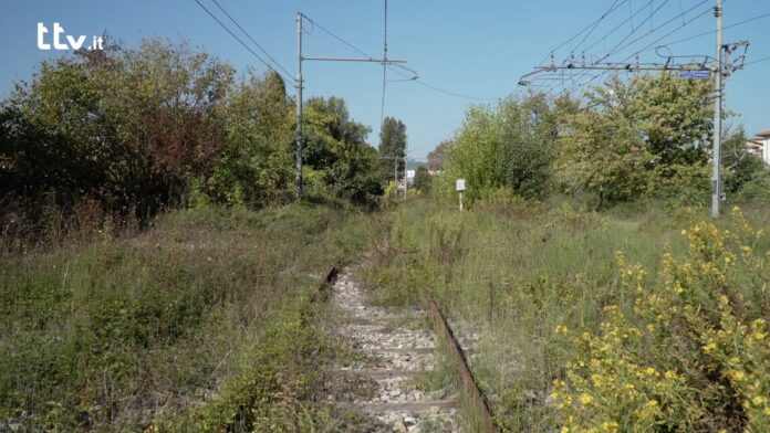 Vegetazione sui binari a Sansepolcro