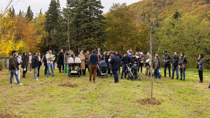 aboca piantumazioni giornata albero