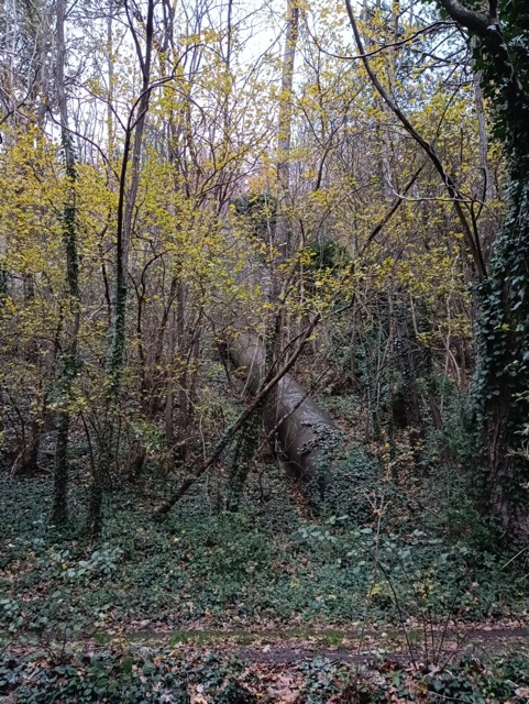 La condotta a monte della centrale da cui arrivava l’acqua del Tevere e dei torrenti Tignana e Singerna