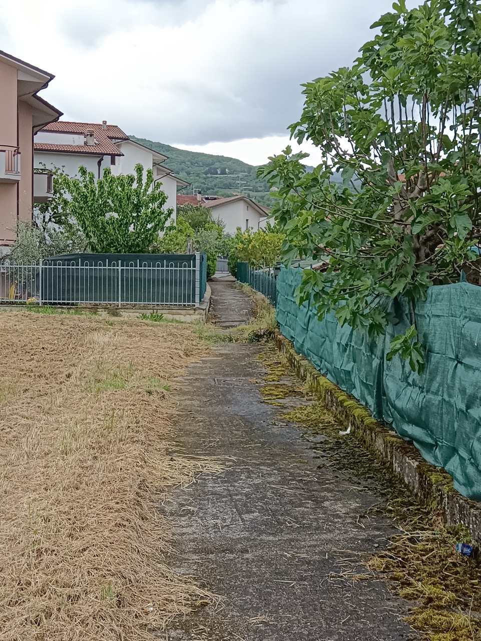 Il “corridoio” che, nel collegare in diagonale lo Stadio Buitoni con via del Campo Sportivo, ripercorre il corso del Petreto (quello in cui il torrente fu deviato tra il 1815 e il 1825).