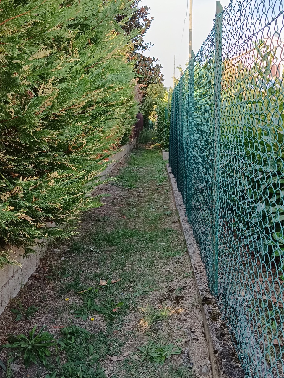 Il “corridoio” delle Forche sotto il quale si trova la tombatura del vecchio Petreto.