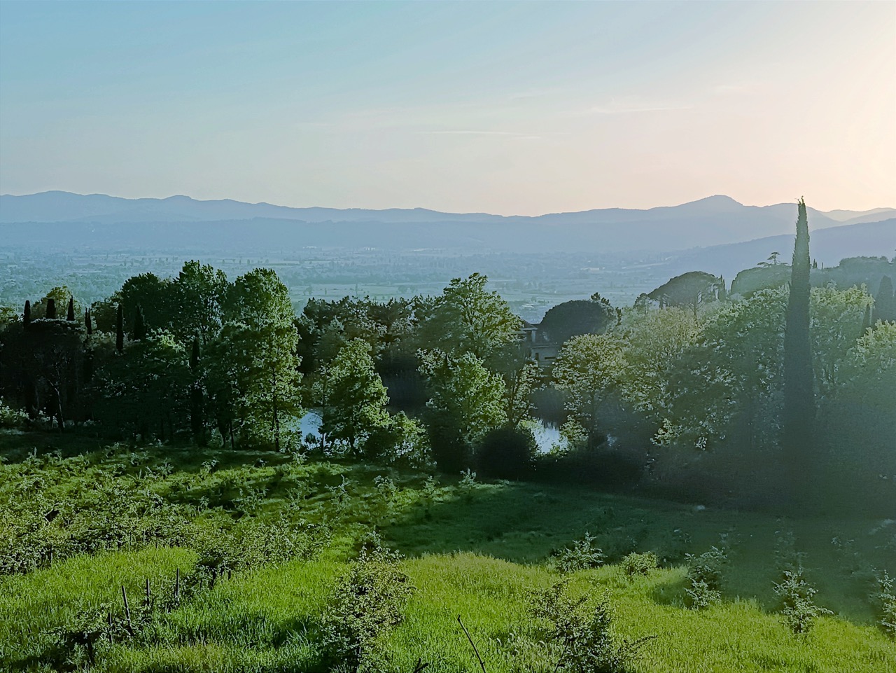 Il Lago di Villa Fatti visto dalla sezione a monte da cui si immette il fosso della Castora.