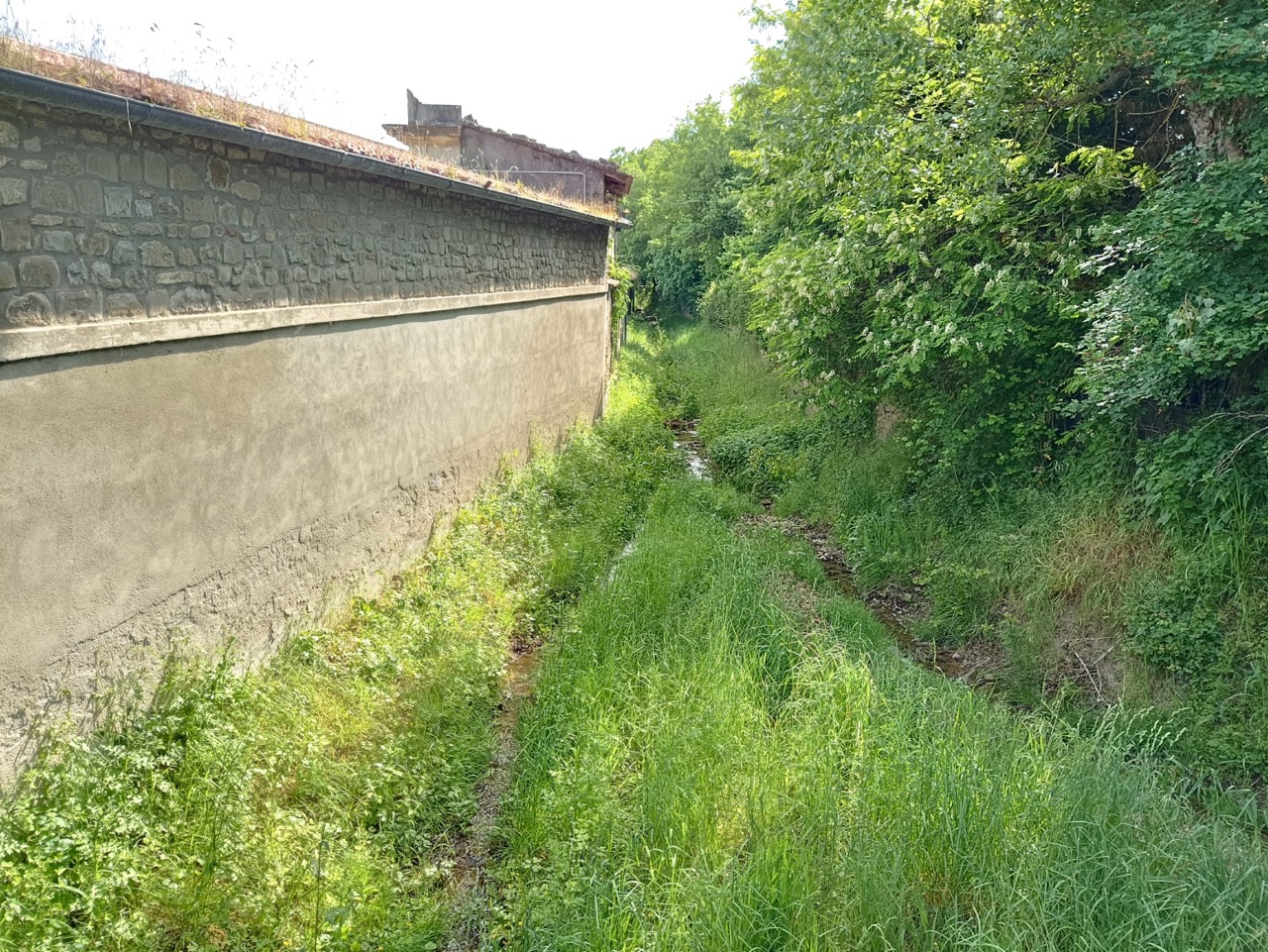 Il punto, sotto via Visconti, in cui il Petreto si incontra con il fosso della Castora.